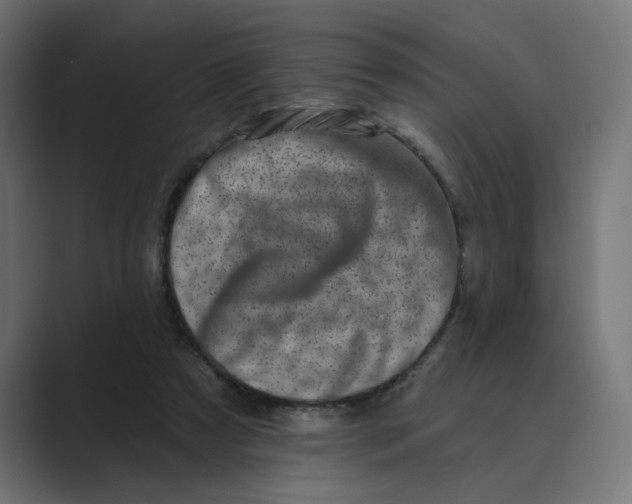 X0000089440305200706291430