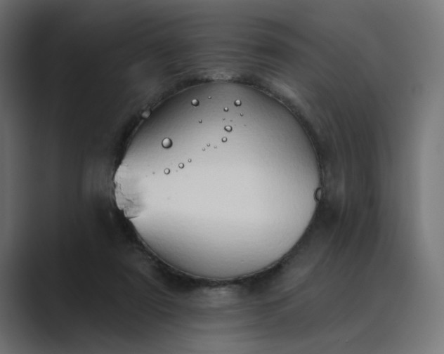 X0000089440307200706291430