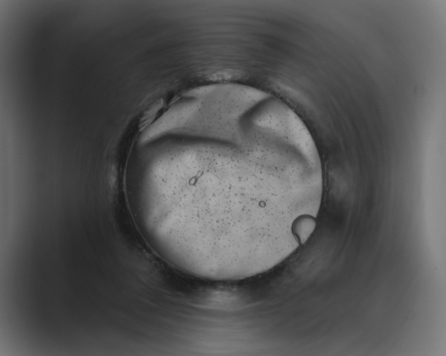 X0000089440308200706291430