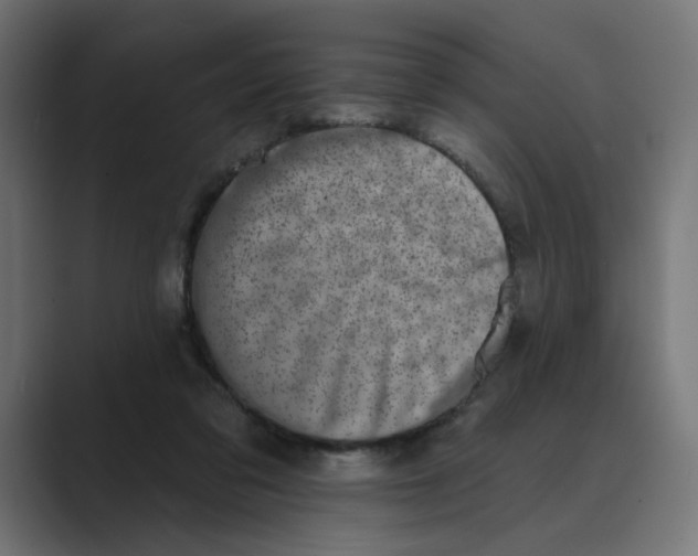 X0000089440309200706291430