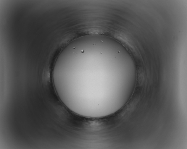 X0000089440310200706291430