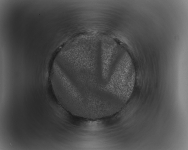 X0000089440314200706291430