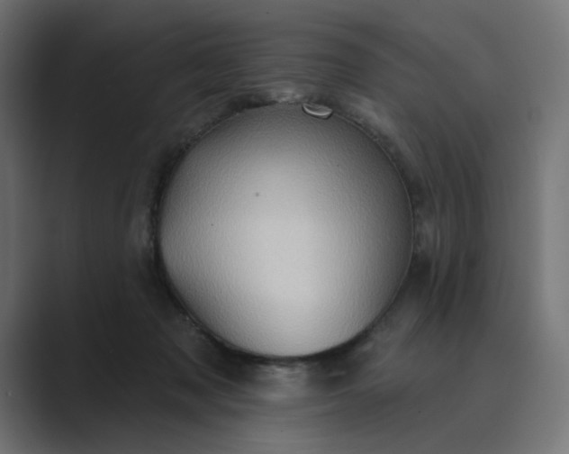 X0000089440317200706291430