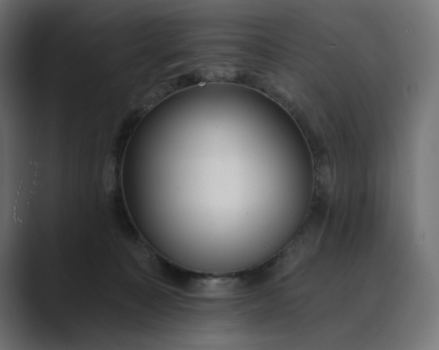 X0000089440323200706291429