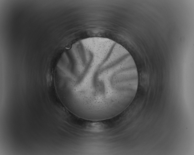 X0000089440324200706291429