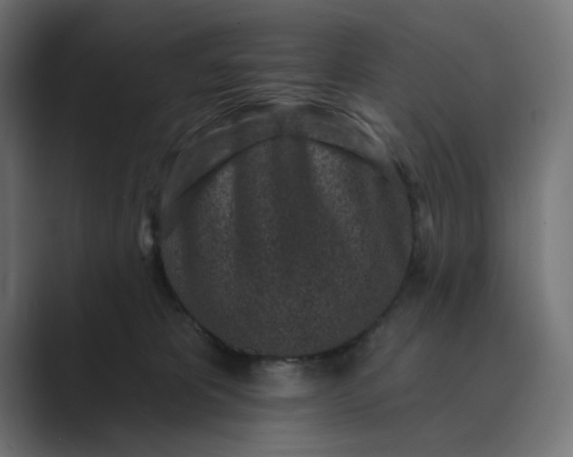 X0000089440325200706291429