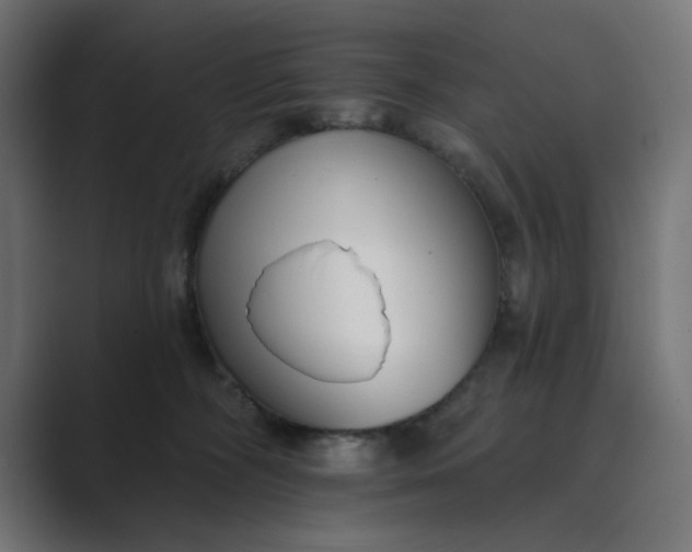 X0000089440326200706291429