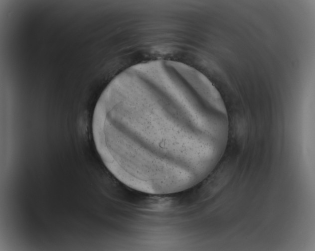 X0000089440328200706291429