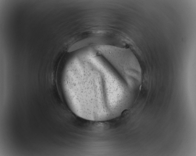 X0000089440330200706291429