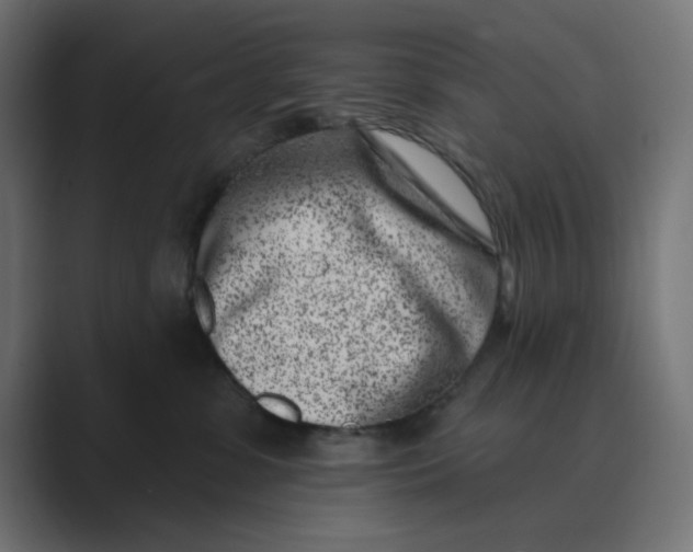 X0000089440331200706291429