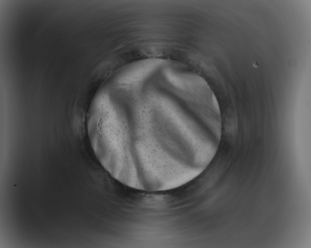 X0000089440332200706291429