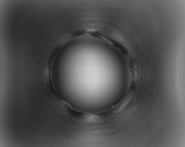 X0000089440333200706291429