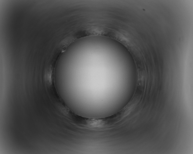 X0000089440334200706291429