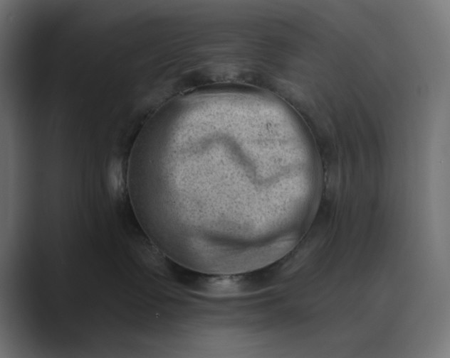 X0000089440335200706291429