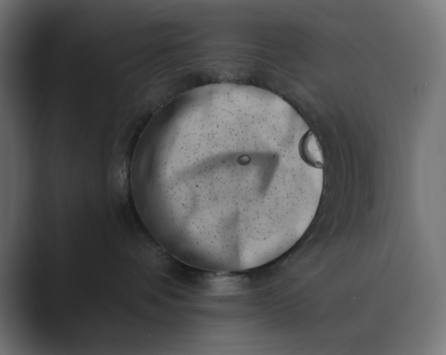 X0000089440336200706291429