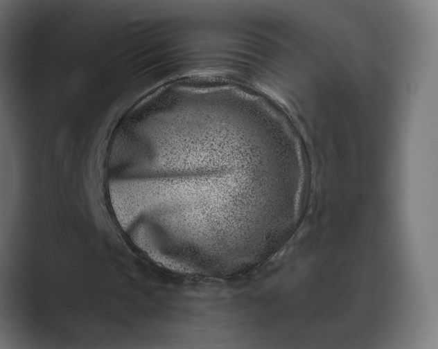 X0000089440337200706291429