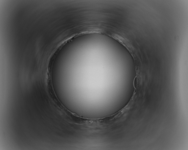 X0000089440338200706291429