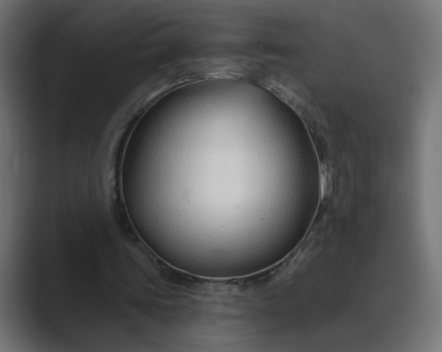 X0000089440339200706291429