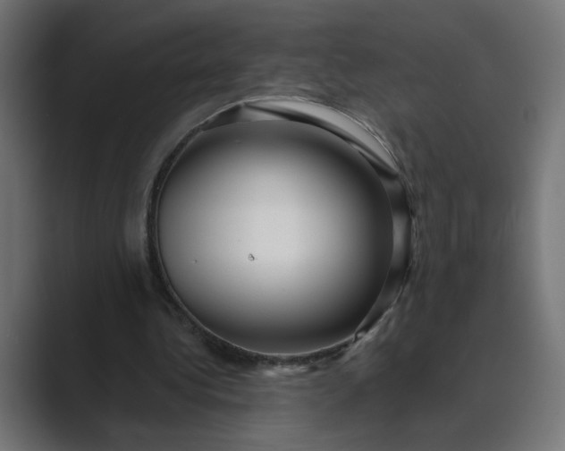 X0000089440340200706291429