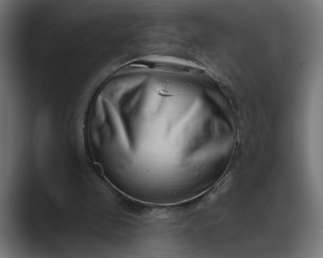 X0000089440341200706291429