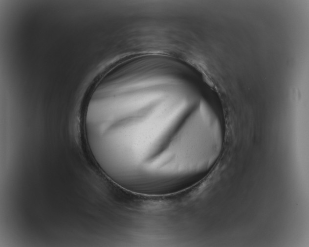 X0000089440342200706291429