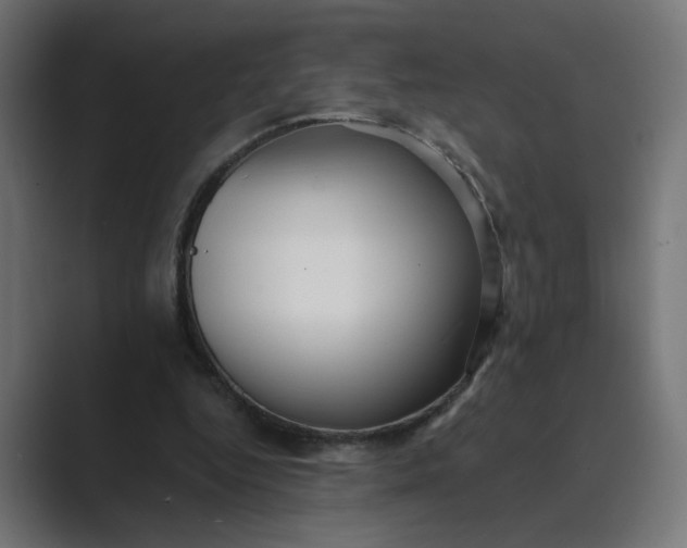 X0000089440344200706291429