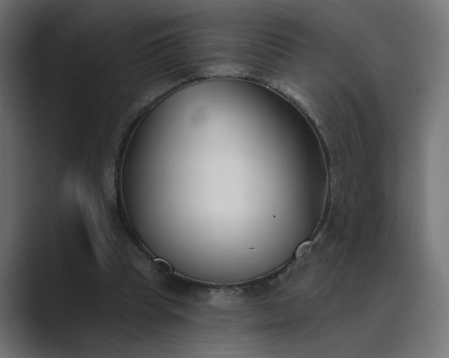 X0000089440345200706291429