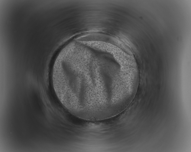 X0000089440346200706291429