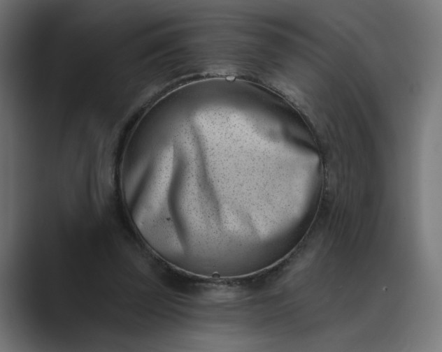 X0000089440347200706291429