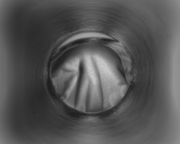 X0000089440348200706291429