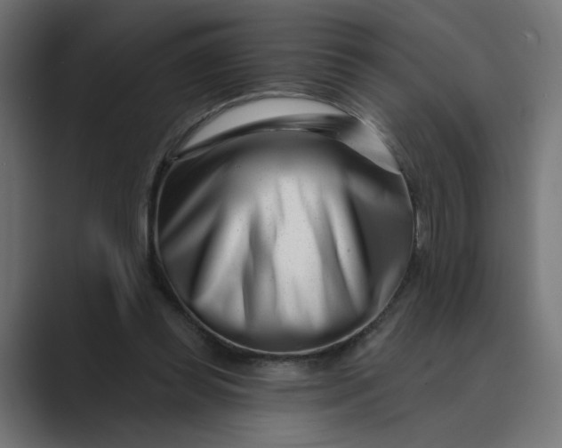 X0000089440349200706291429