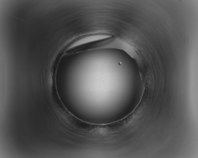 X0000089440350200706291429