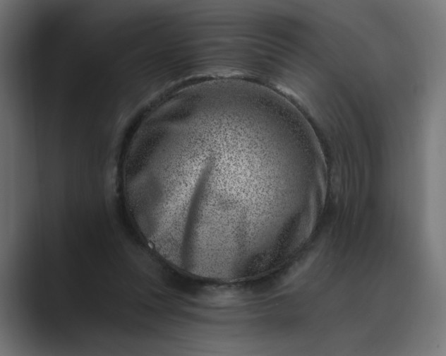 X0000089440351200706291429