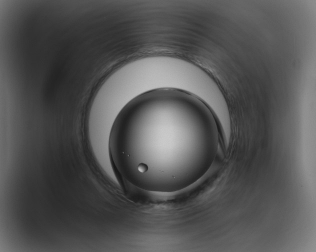 X0000089440352200706291429