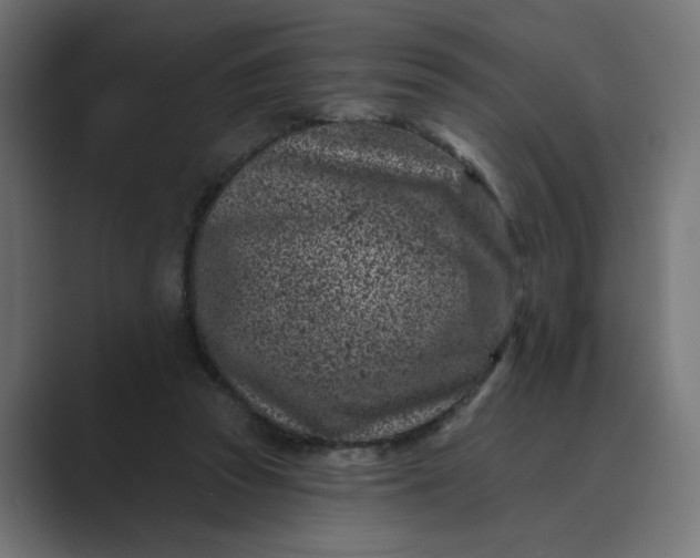 X0000089440353200706291429