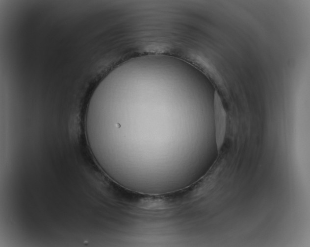 X0000089440354200706291429