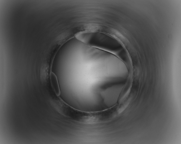 X0000089440356200706291429