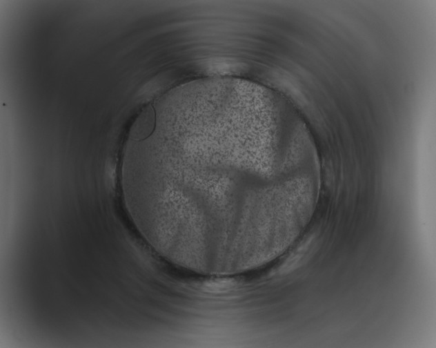 X0000089440357200706291429