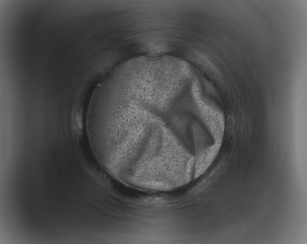 X0000089440358200706291429