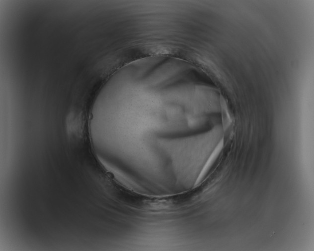 X0000089440359200706291429