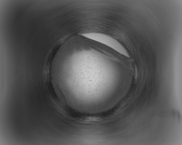 X0000089440360200706291429