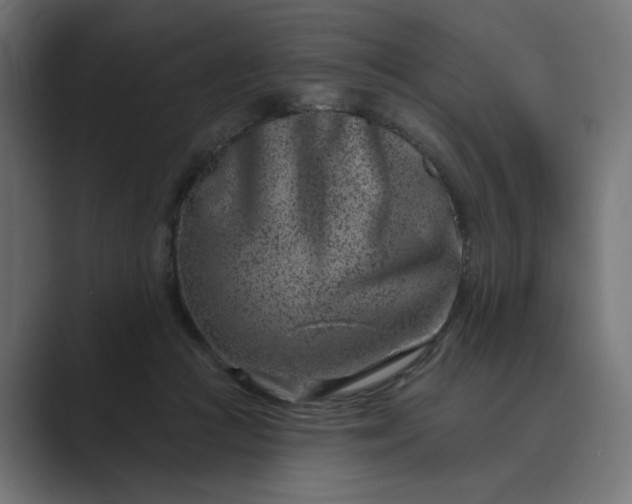 X0000089440361200706291429