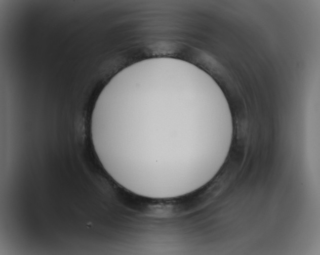 X0000089440362200706291429