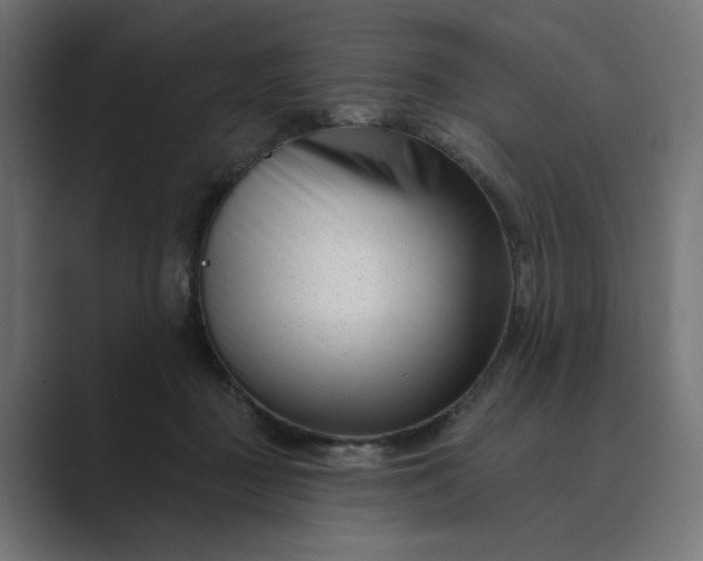 X0000089440363200706291429