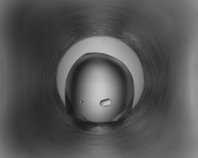 X0000089440364200706291429