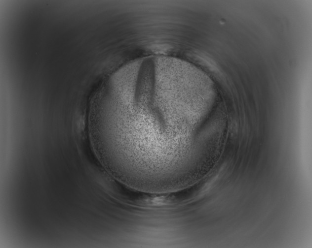 X0000089440365200706291429