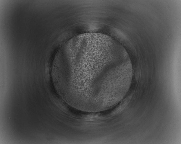 X0000089440366200706291429