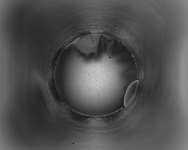 X0000089440367200706291429