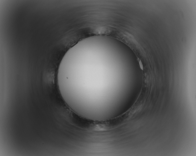 X0000089440368200706291429