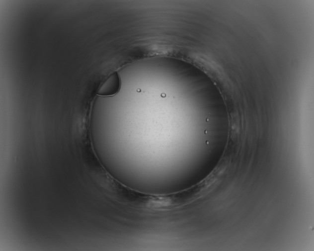 X0000089440369200706291429